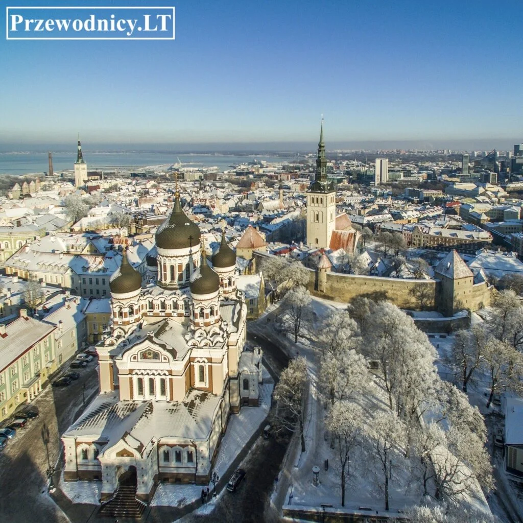 przewodnik po tallinie