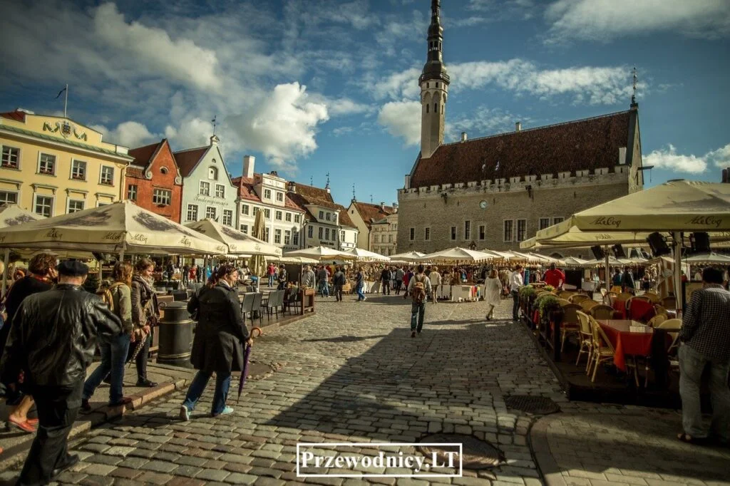 przewodnik po tallinie