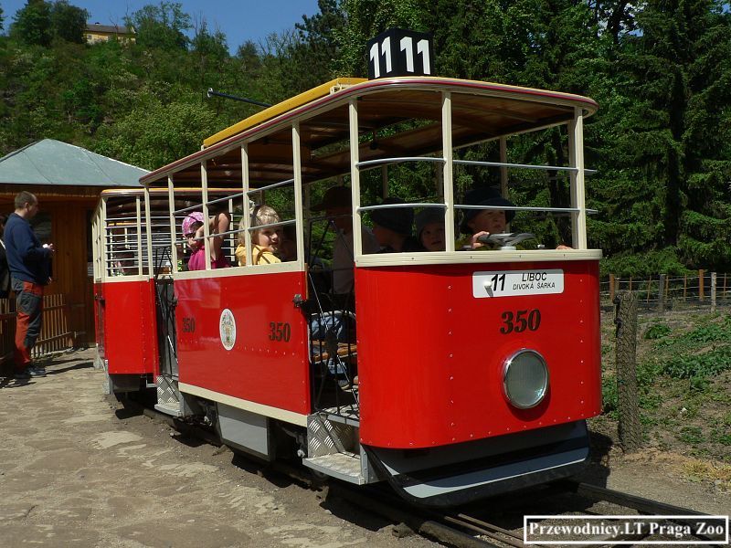 Praga przewodnik polski praski zoo